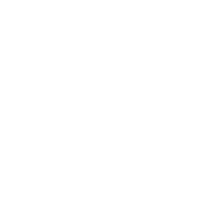 Optimal Workshop